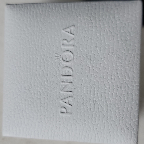 Pandora Circle Stud Earrings in Rose Gold - Picture 8 of 10